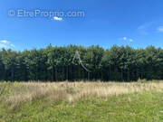 Terrain à BOIGNY-SUR-BIONNE