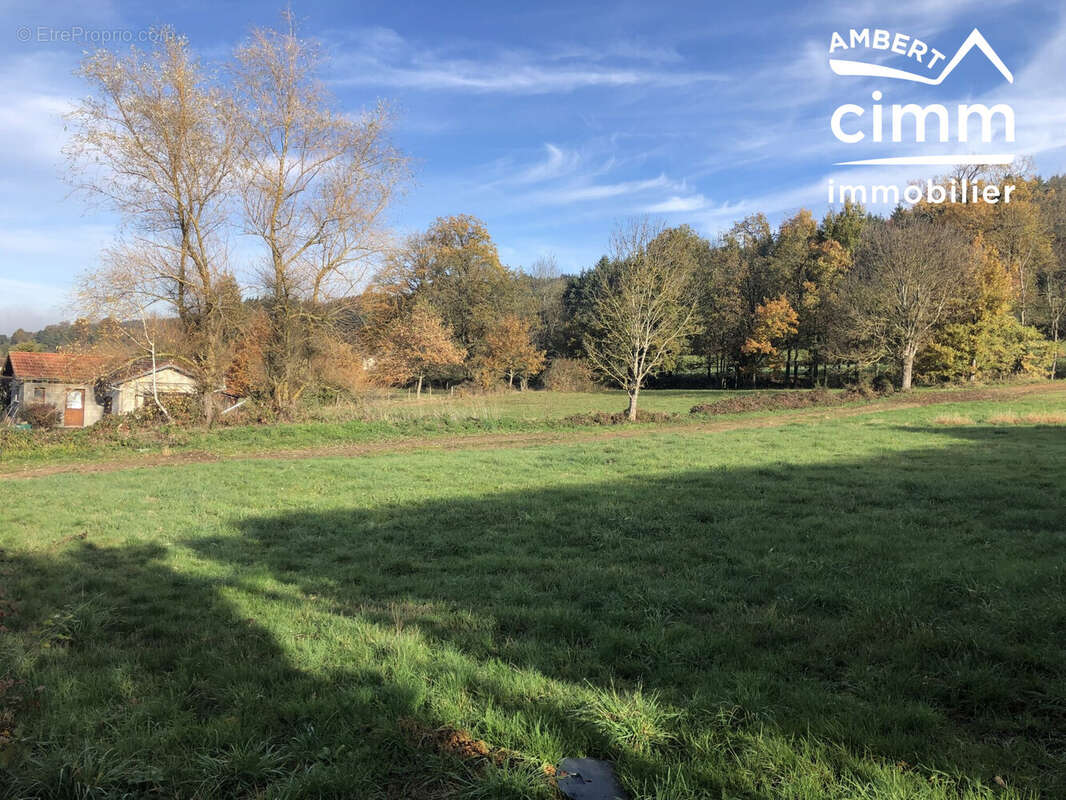 Terrain à CHAUMONT-LE-BOURG