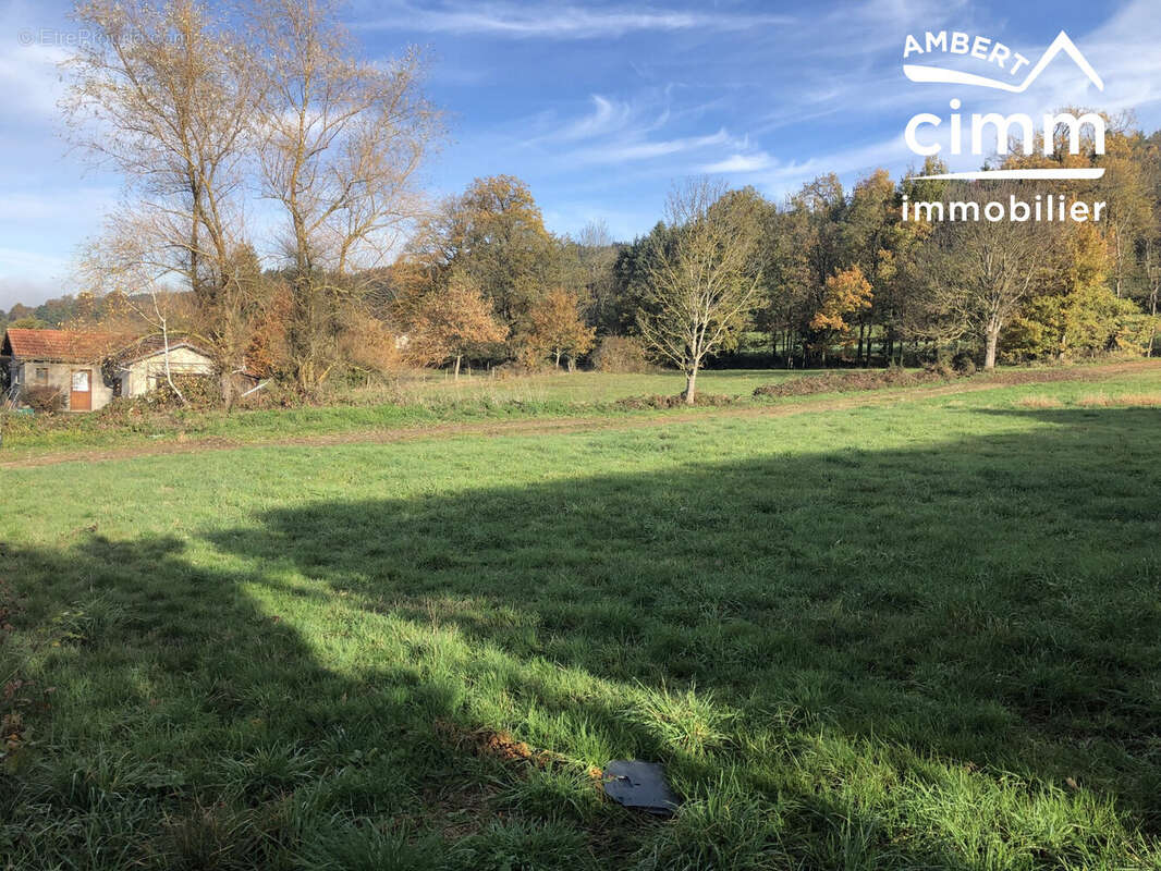 Terrain à CHAUMONT-LE-BOURG