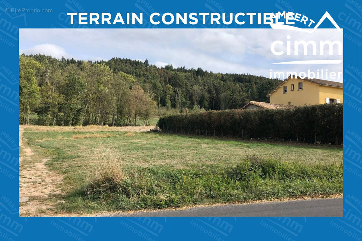 Terrain à CHAUMONT-LE-BOURG