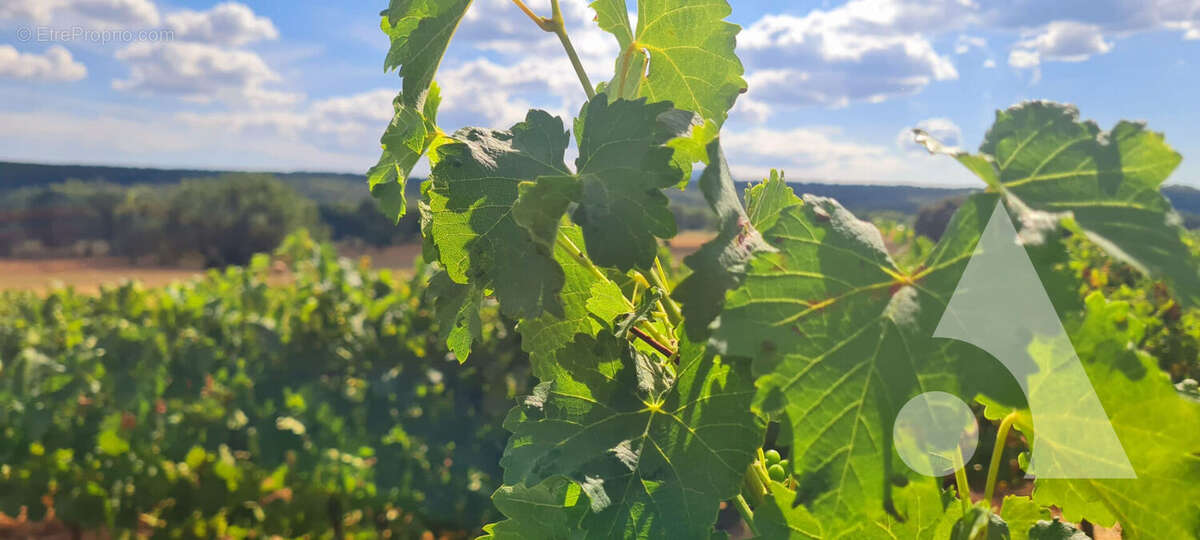 Maison à FOX-AMPHOUX