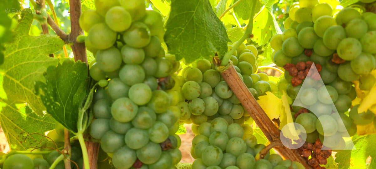 Maison à FOX-AMPHOUX