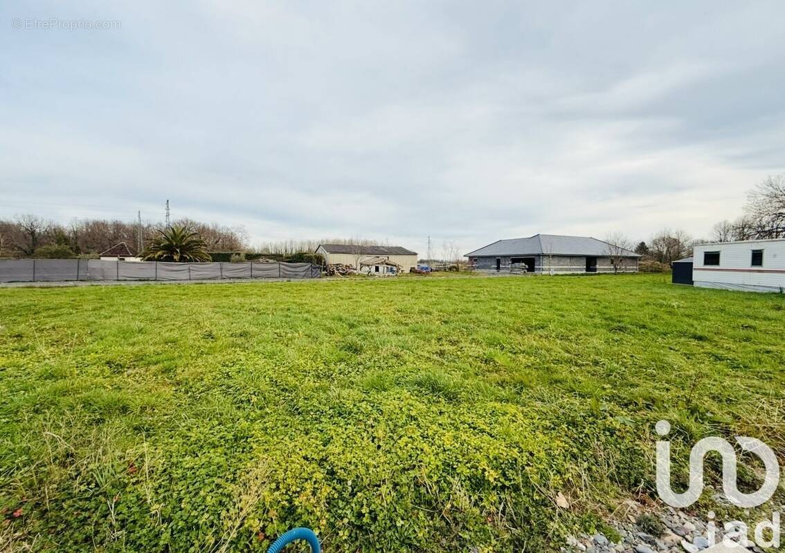 Photo 1 - Terrain à MONT