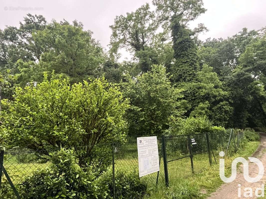 Photo 3 - Terrain à CERNY