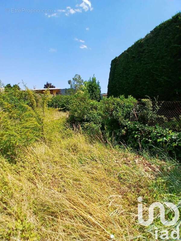 Photo 9 - Terrain à QUILLAN
