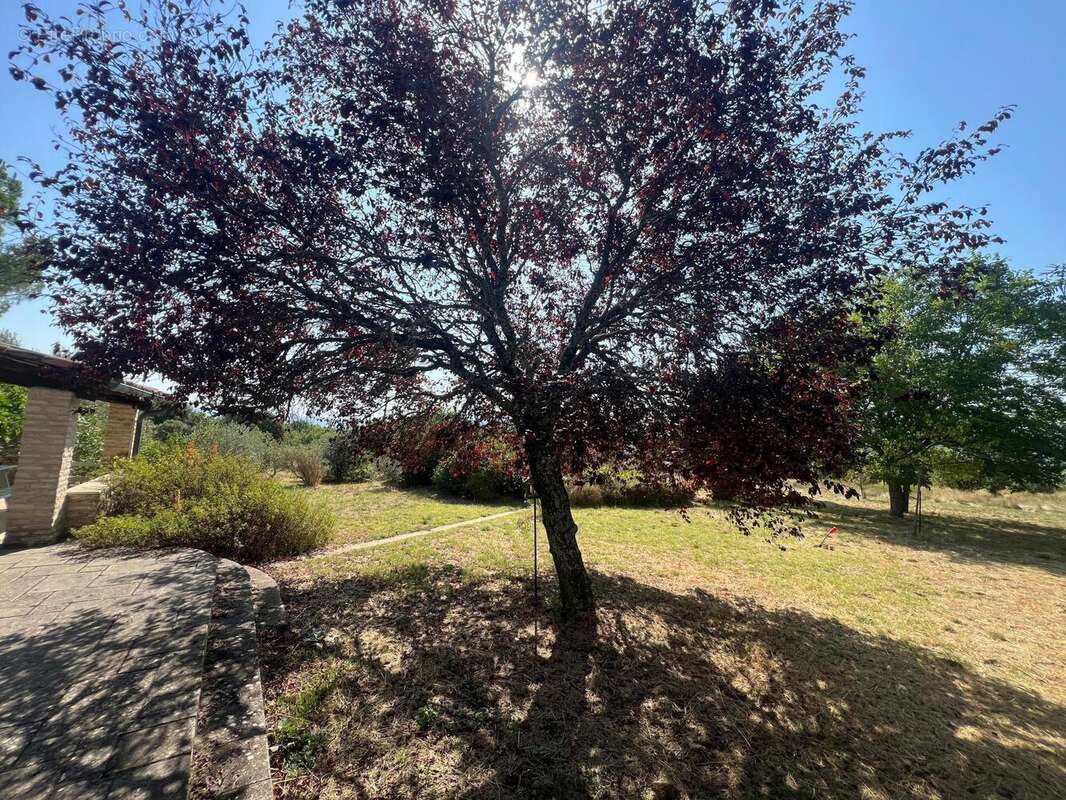 Photo 4 - Maison à SAINT-MICHEL-L'OBSERVATOIRE