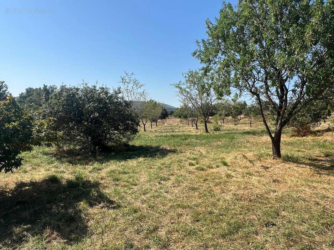 Photo 6 - Maison à SAINT-MICHEL-L'OBSERVATOIRE