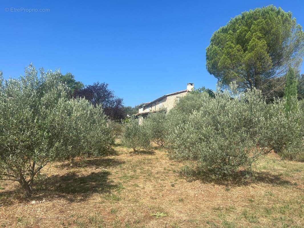 Photo 7 - Maison à SAINT-MICHEL-L'OBSERVATOIRE