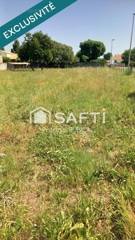 Photo 1 - Terrain à DOLUS-D&#039;OLERON