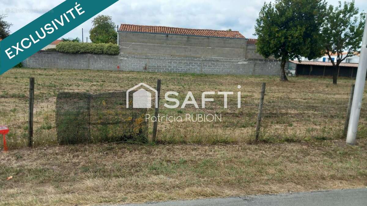 Photo 2 - Terrain à DOLUS-D&#039;OLERON