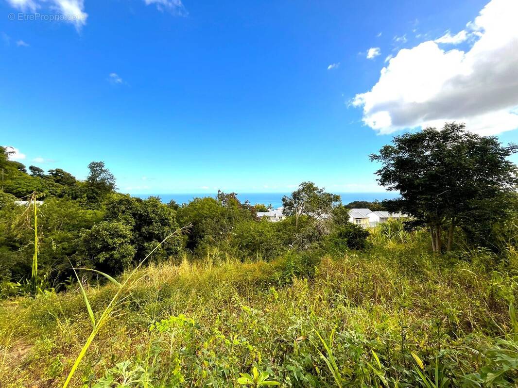 Terrain à SAINT-PAUL