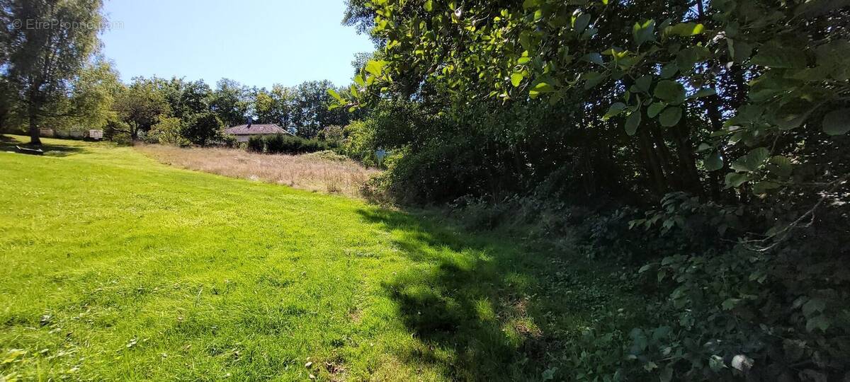 Terrain à SAINT-DIE-DES-VOSGES