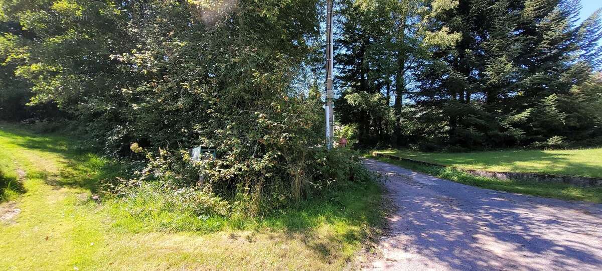 Terrain à SAINT-DIE-DES-VOSGES