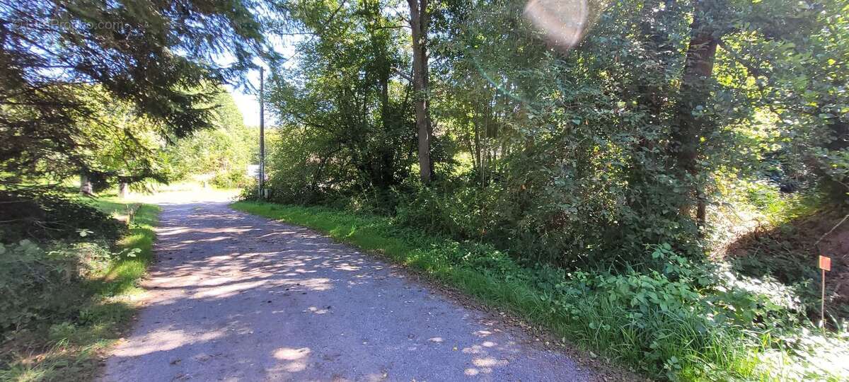 Terrain à SAINT-DIE-DES-VOSGES