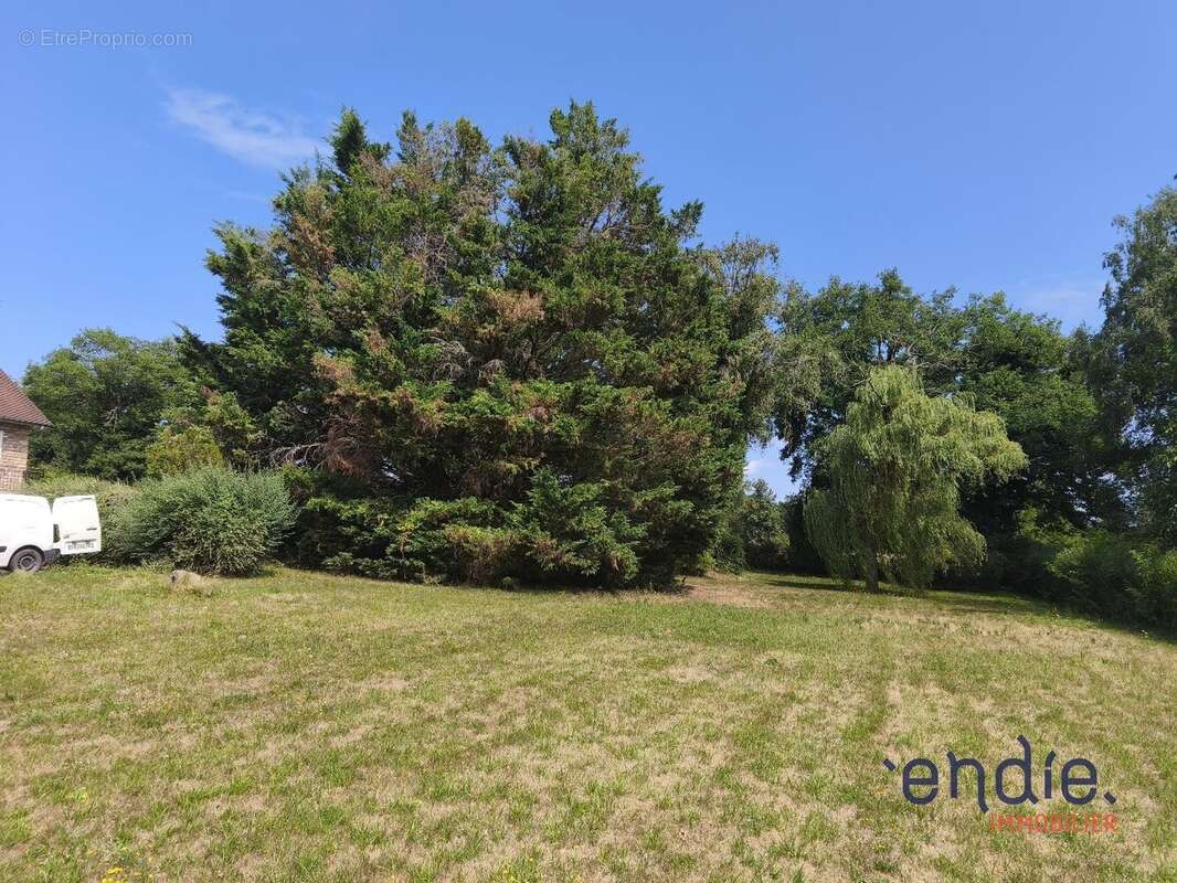 Maison à COSNE-D&#039;ALLIER