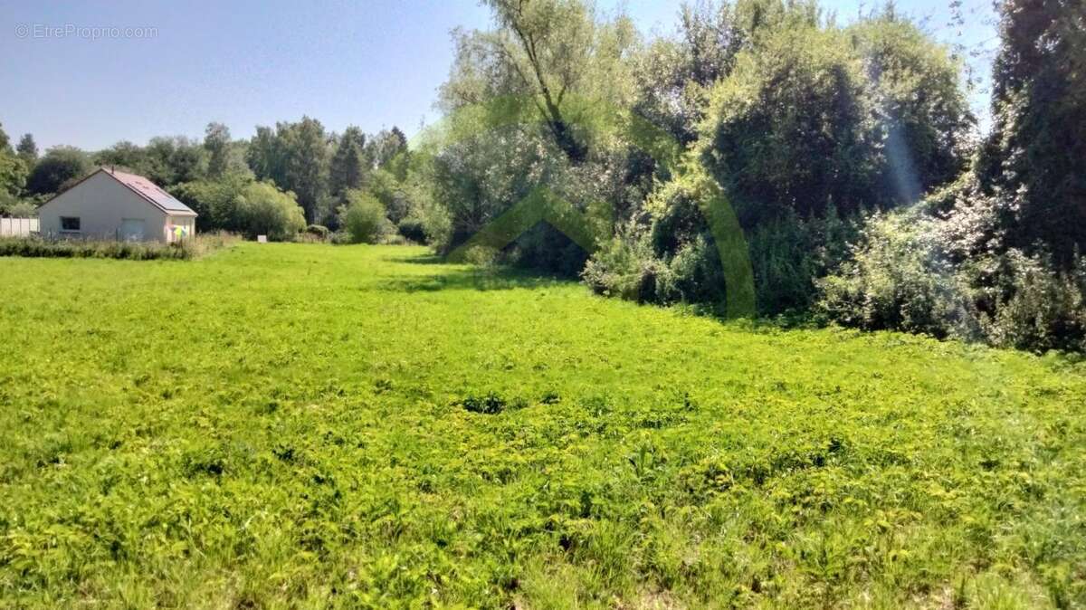 Terrain à BUSIGNY