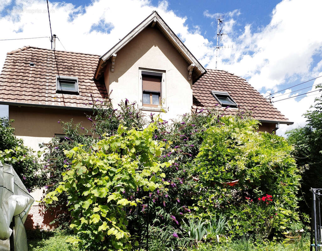 Maison à MATZENHEIM