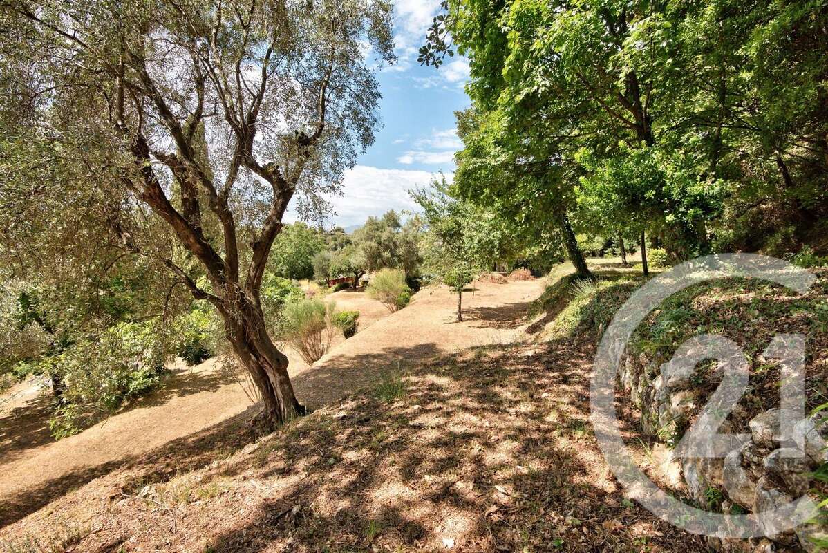 Terrain à ASPREMONT