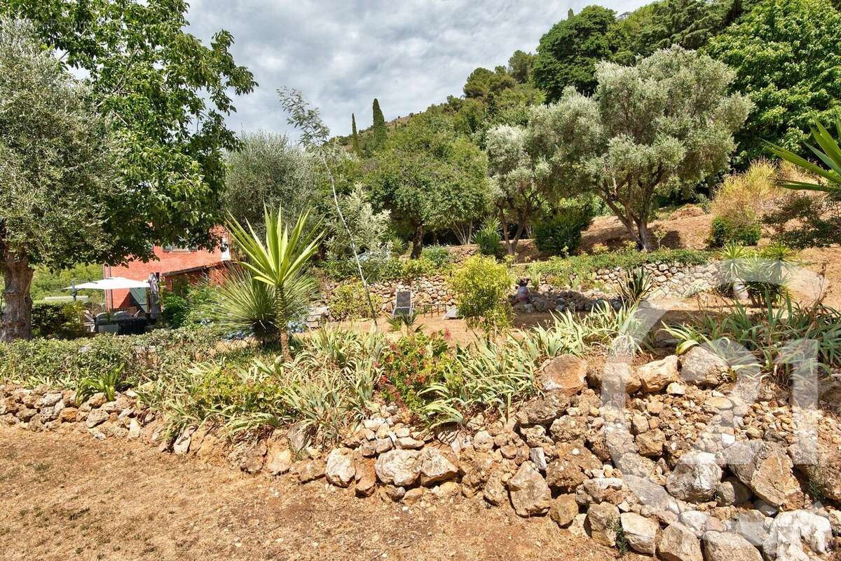 Terrain à ASPREMONT