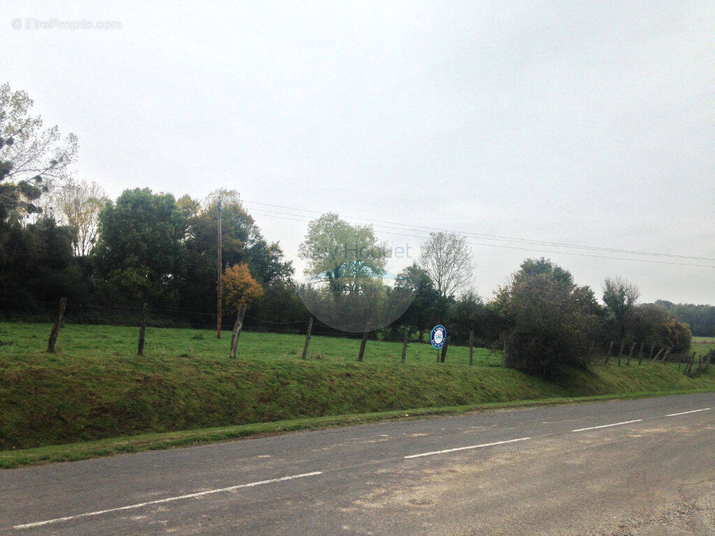 Terrain à CORRIBERT