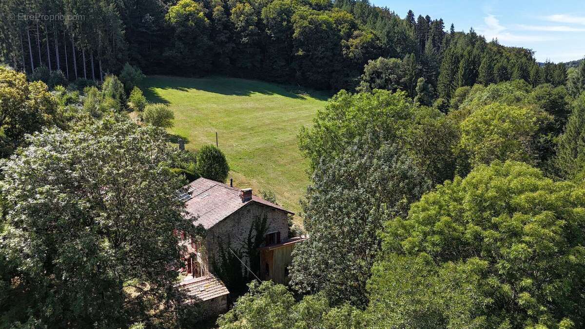 Photo 2 - Maison à AMBERT
