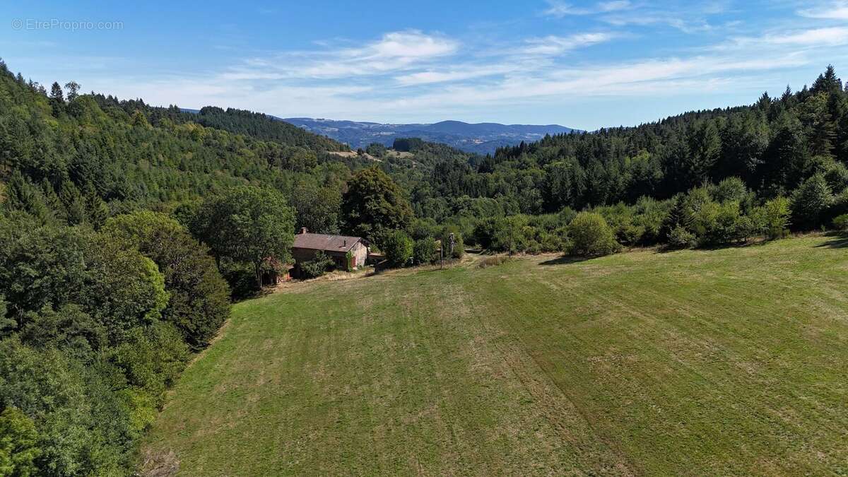 Photo 6 - Maison à AMBERT