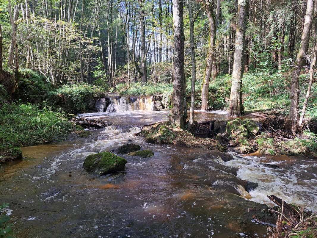 Photo 7 - Maison à AMBERT