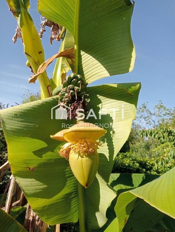 Photo 1 - Maison à FOUSSAIS-PAYRE
