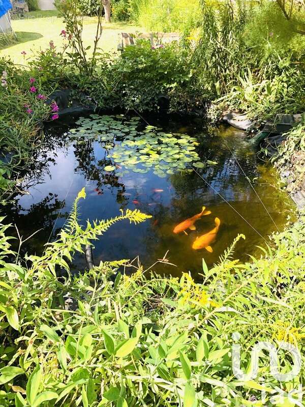 Photo 5 - Maison à LE MEE-SUR-SEINE