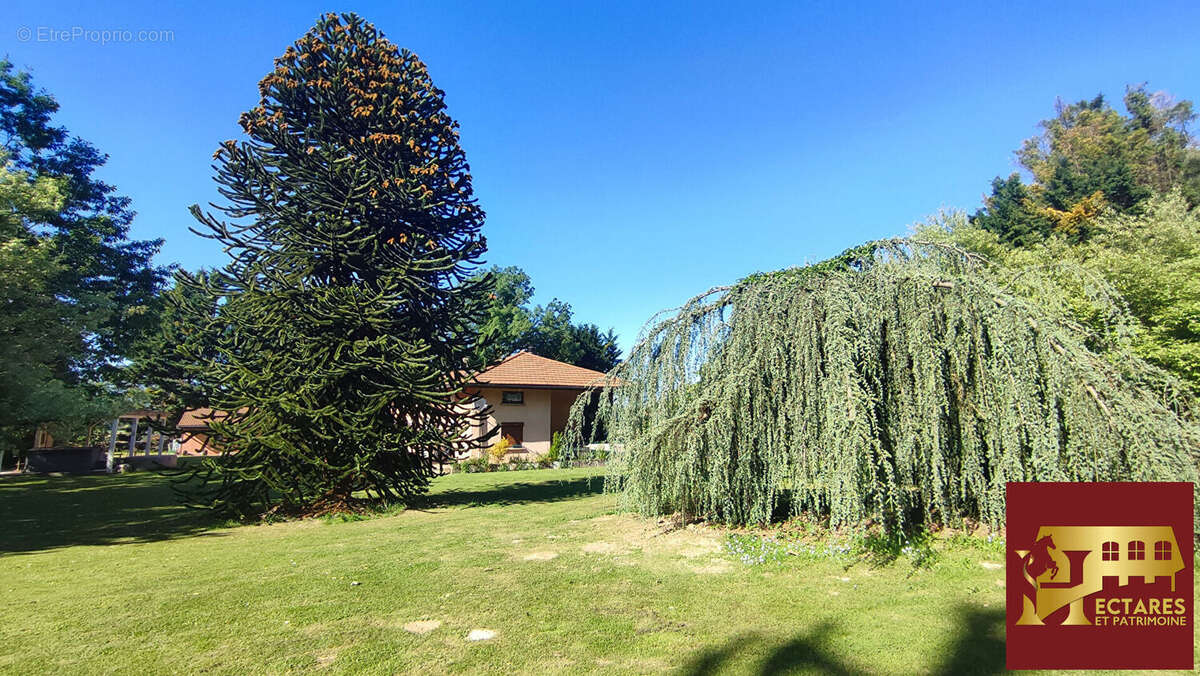 Maison à CURCIAT-DONGALON