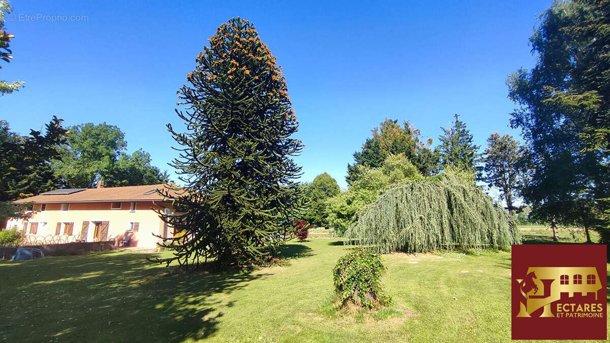 Maison à CURCIAT-DONGALON