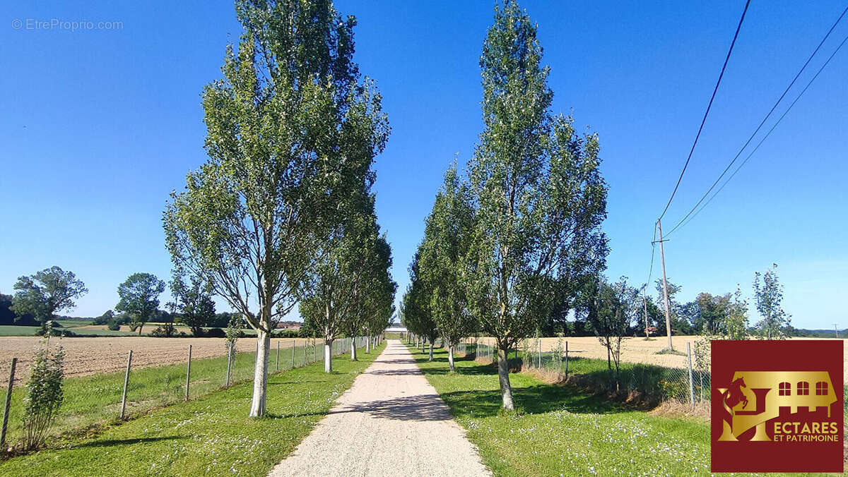 Maison à CURCIAT-DONGALON