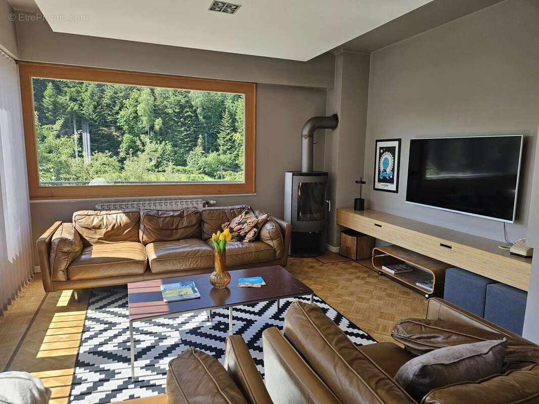 salon - Maison à REMIREMONT