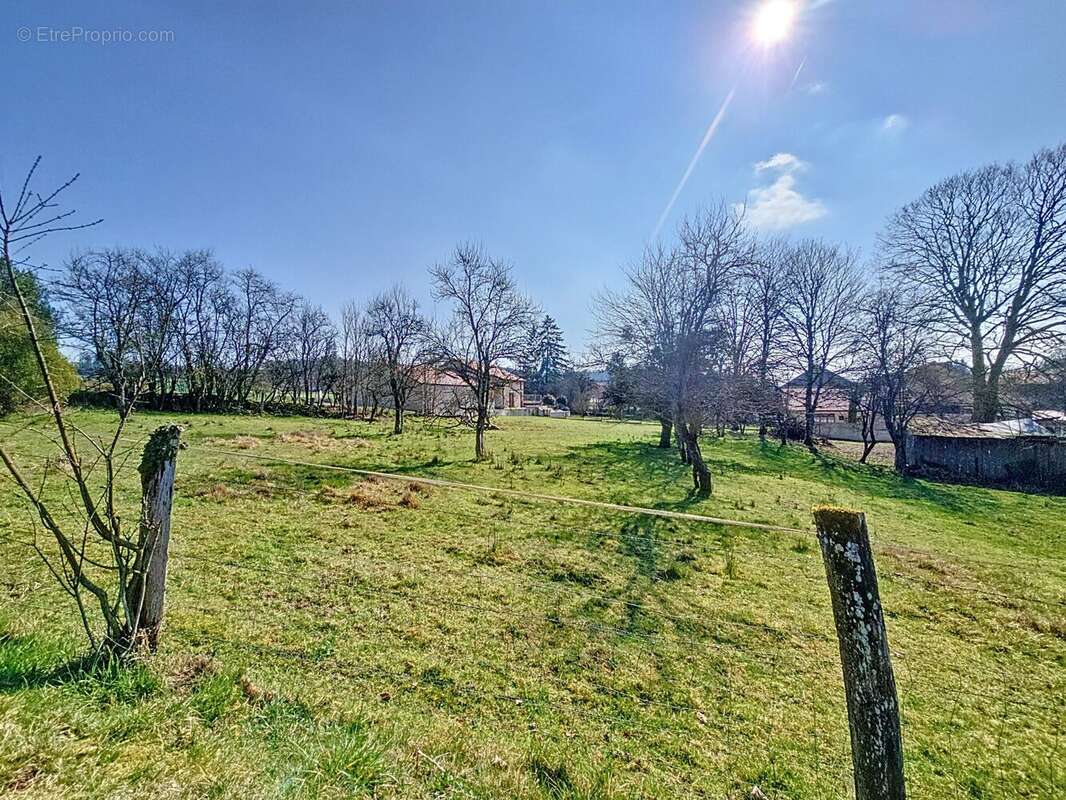 Terrain à NEUILLY-SUR-SUIZE