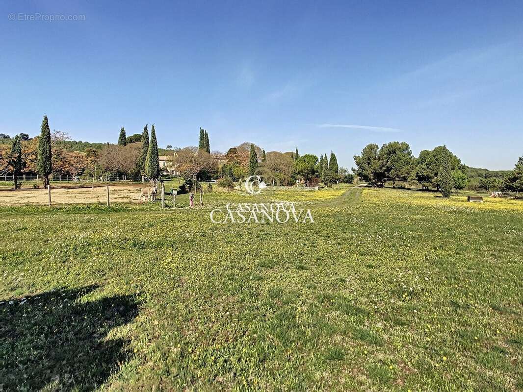 Maison à MONTPELLIER