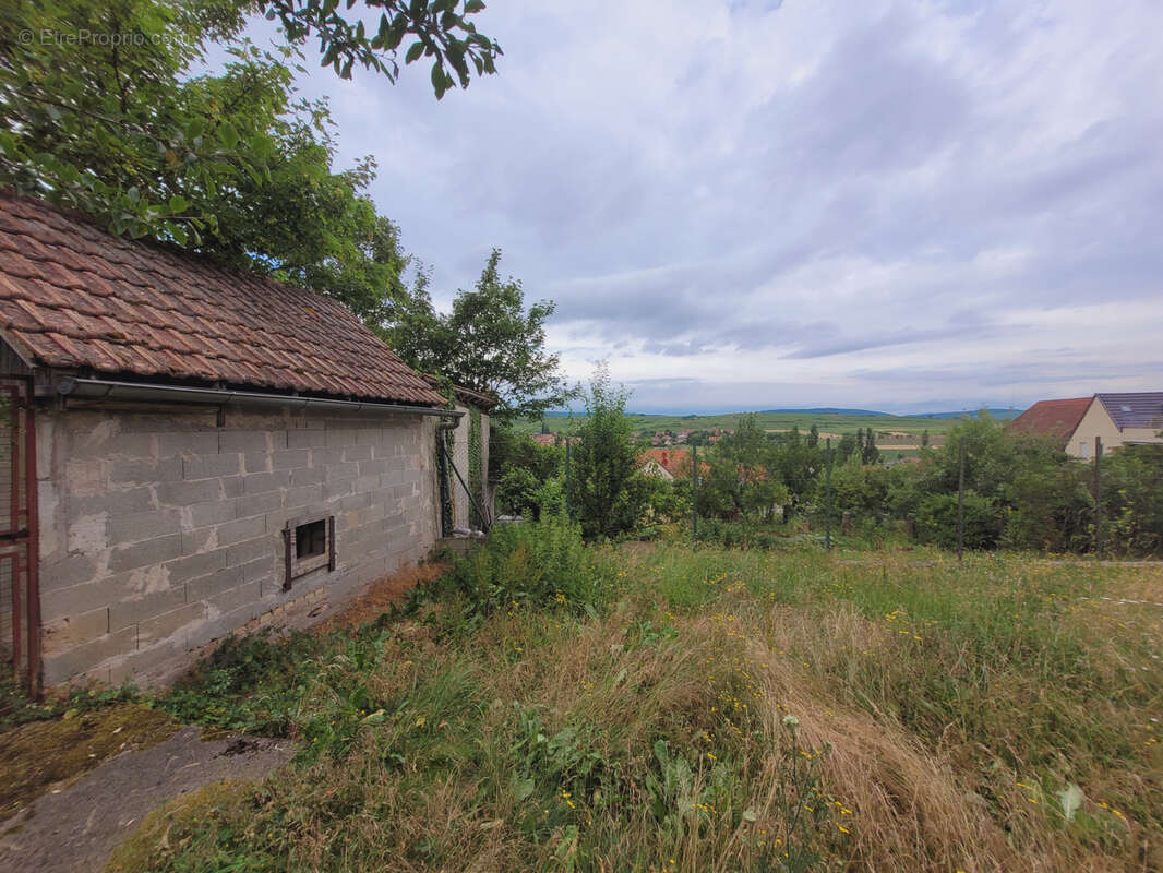 Terrain à DANGOLSHEIM