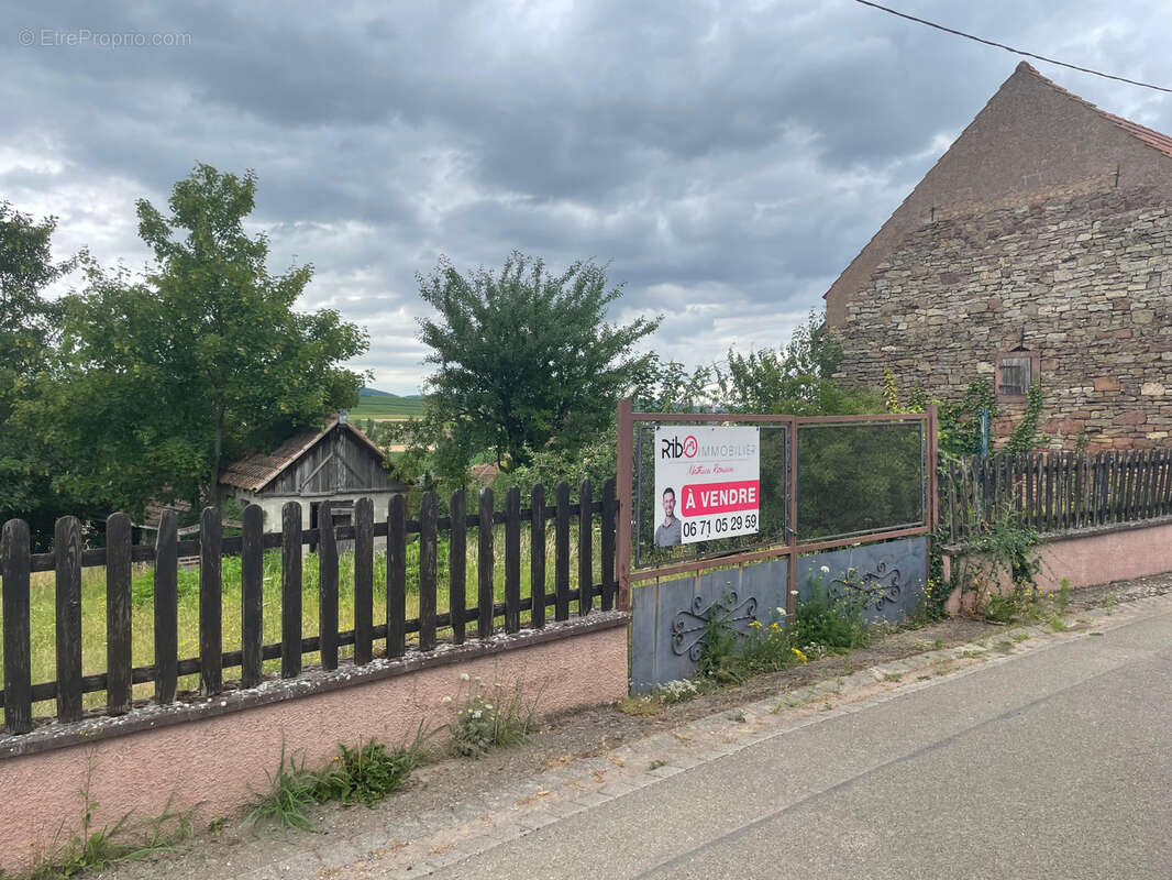 Terrain à DANGOLSHEIM