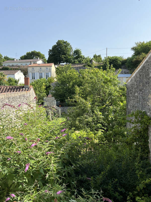 Maison à SAINT-SAVINIEN