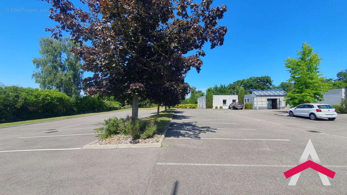 Commerce à ENSISHEIM