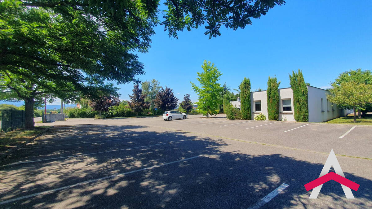 Commerce à ENSISHEIM