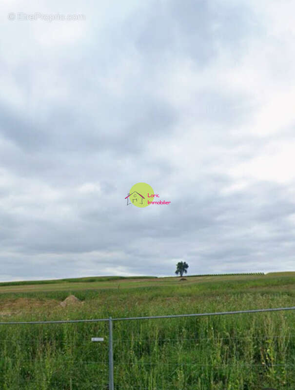 Terrain à STEINSELTZ