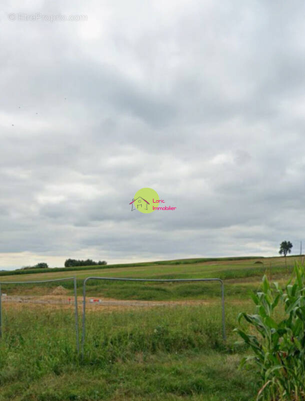 Terrain à STEINSELTZ