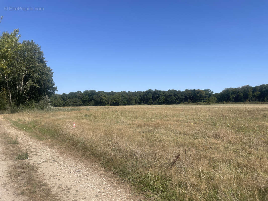 Terrain à REUILLY