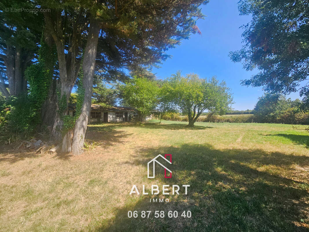 Maison à MOZE-SUR-LOUET