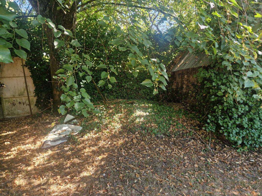 Maison à TERRASSON-LAVILLEDIEU