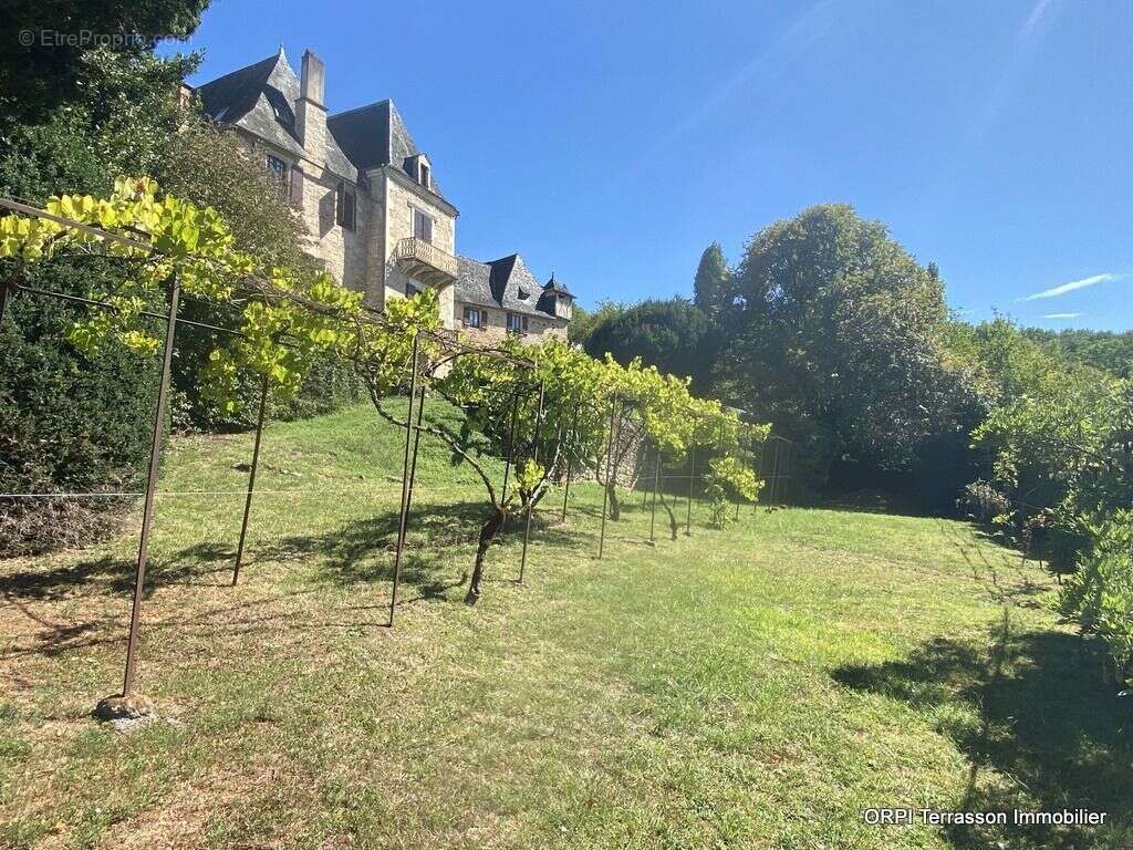 Maison à TERRASSON-LAVILLEDIEU