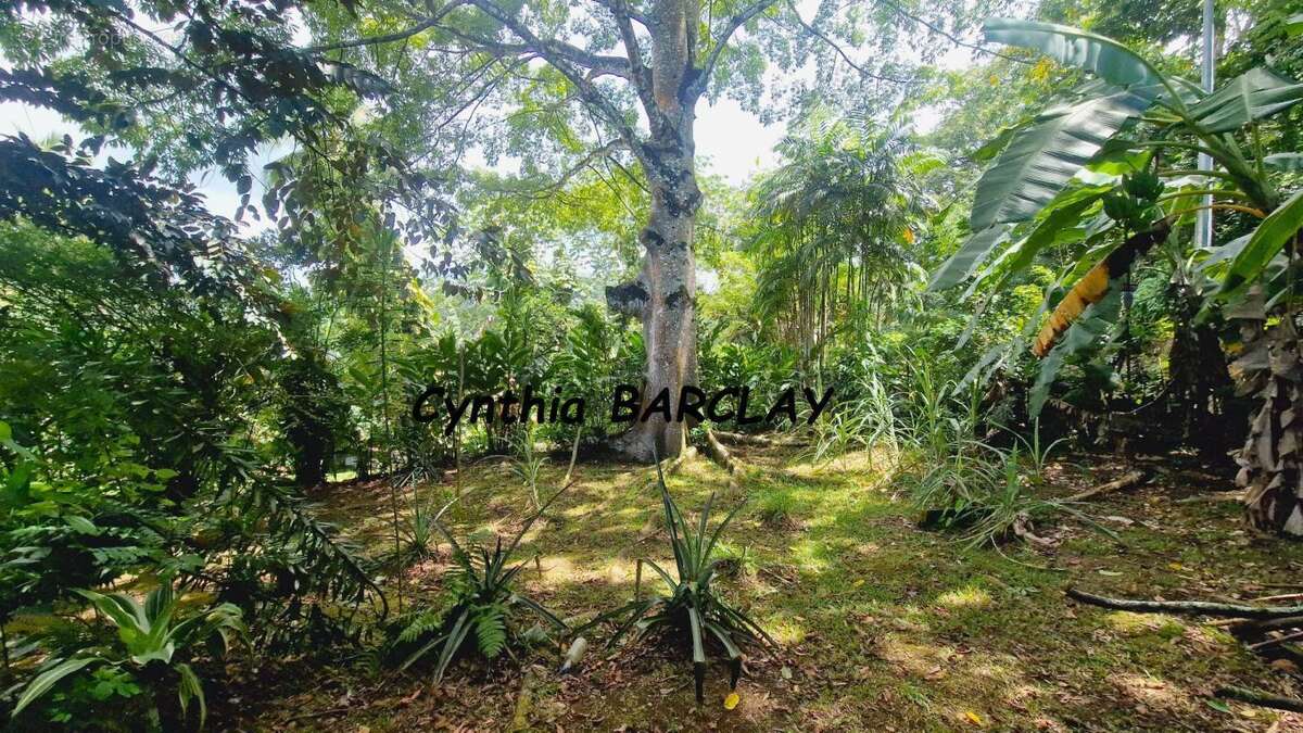 Maison à SAINT-JOSEPH