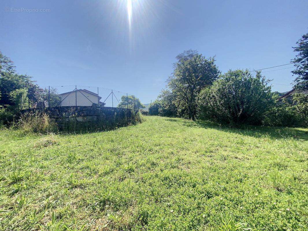 Terrain à CHOZEAU