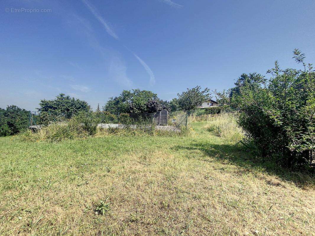 Terrain à CHOZEAU