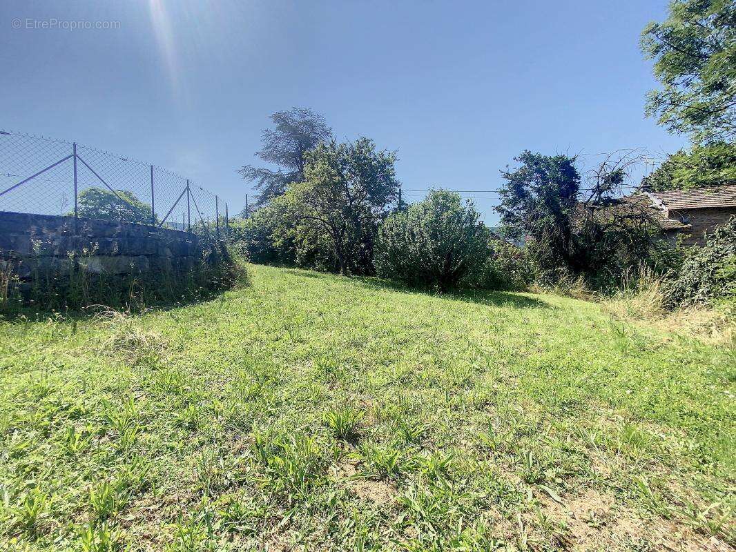 Terrain à CHOZEAU